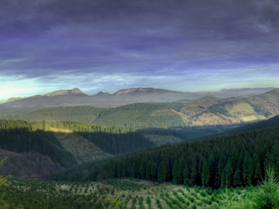 Panoramica UBIDE (Gorbeialdea)
