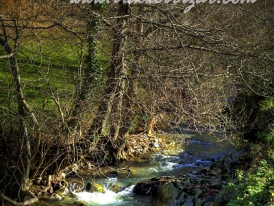 Rio Indusi – Dima (Gorbeialdea)