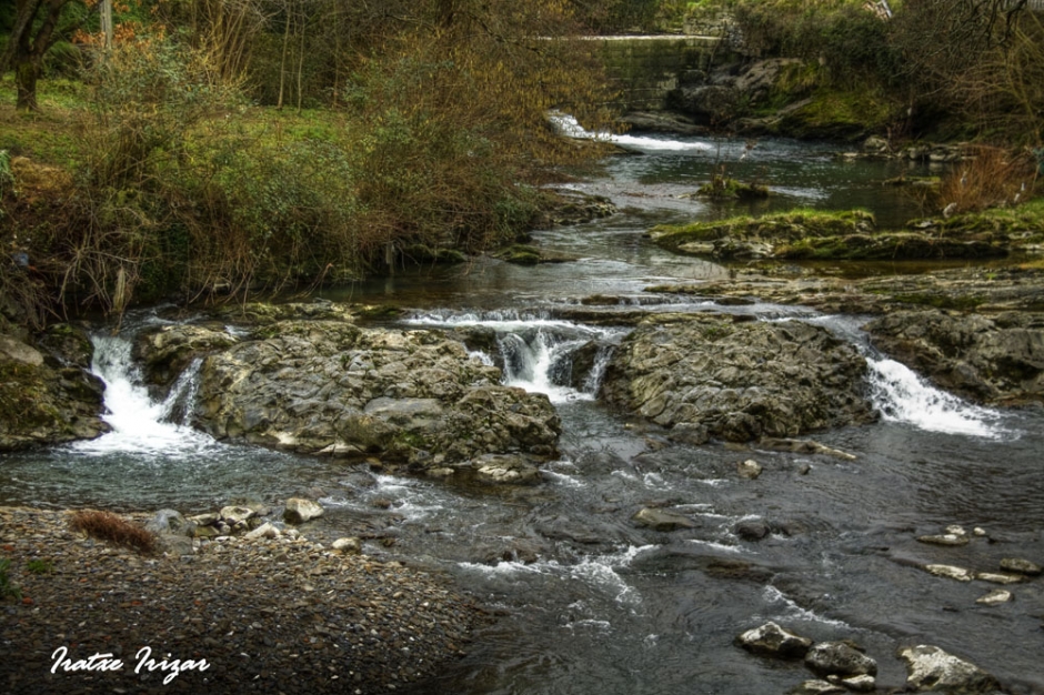 Areatza (Gorbeialdea) – Fotografia: Iratxe Irizar Areatza (Gorbeialdea) – Fotografia: Iratxe Irizar